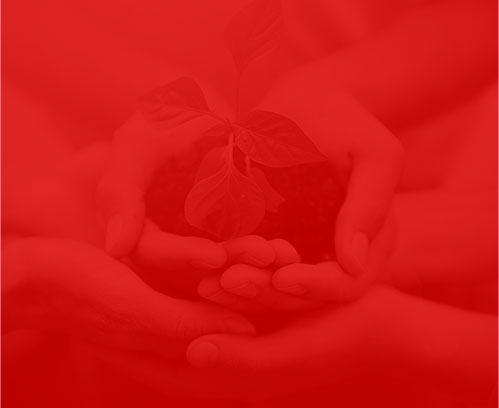 我們的成長(zhǎng)