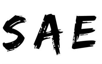 SAE報告不規(guī)范怎么辦？推薦一些SAE報告存在問題的解決方法(圖1)