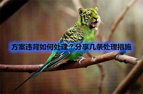 方案違背如何處理？分享幾條處理措施