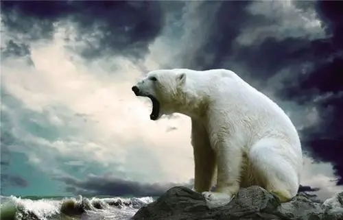 第二類醫(yī)療器械生產(chǎn)許可證很難申請嗎？(圖1)