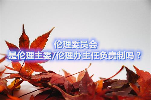 倫理委員會是倫理主委/倫理辦主任負(fù)責(zé)制嗎？(圖1)