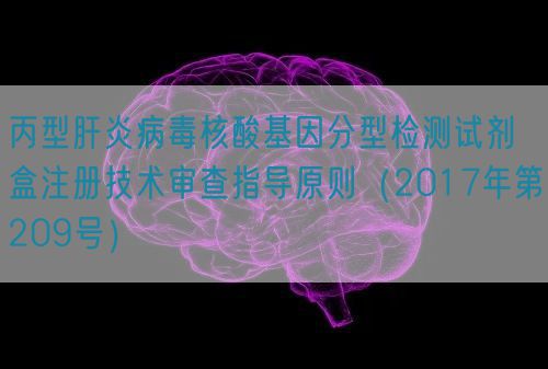 丙型肝炎病毒核酸基因分型檢測試劑盒注冊技術(shù)審查指導原則（2017年第209號）(圖1)