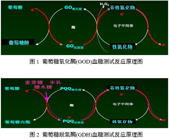 血糖儀注冊審查指導原則（2024年修訂版）（2024年第21號）(圖1)