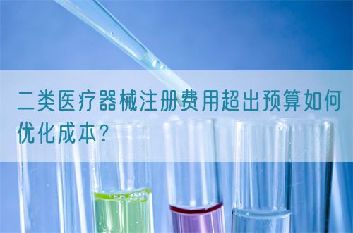 二類醫(yī)療器械注冊費用超出預算如何優(yōu)化成本？(圖1)