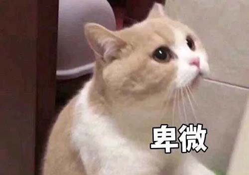 無(wú)經(jīng)驗(yàn)怎么入行CRA？入行CRA的硬性條件有哪些？(圖3)