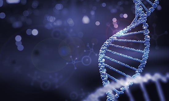 什么是Ⅰ期臨床研究？一文搞懂Ⅰ期臨床試驗全過程(圖3)