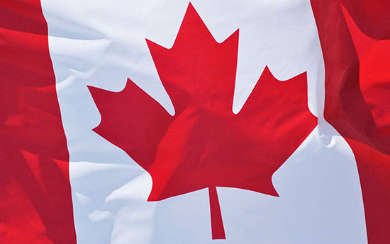 醫(yī)療器械出口歐美日韓澳加要辦什么手續(xù)？(圖4)