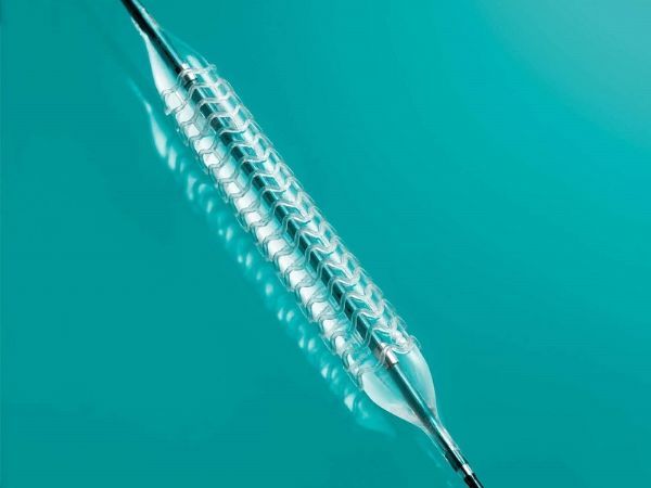 生物可吸收冠狀動脈藥物洗脫支架動物實(shí)驗(yàn)研究指導(dǎo)原則（2020年第48號）(圖1)