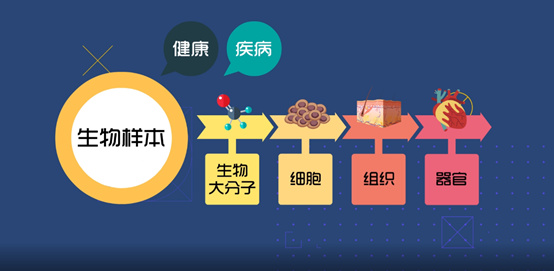 淺談CRC生物樣本管理！生物樣本采集、處理、存儲、運(yùn)輸全過程注意事項(圖1)