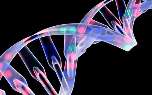 生物相容性是什么意思？怎么判斷醫(yī)療器械要做哪些生物相容性測(cè)試項(xiàng)目？(圖1)