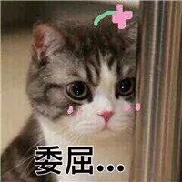 實(shí)驗(yàn)室原始記錄從哪里下手開始檢查？(圖2)